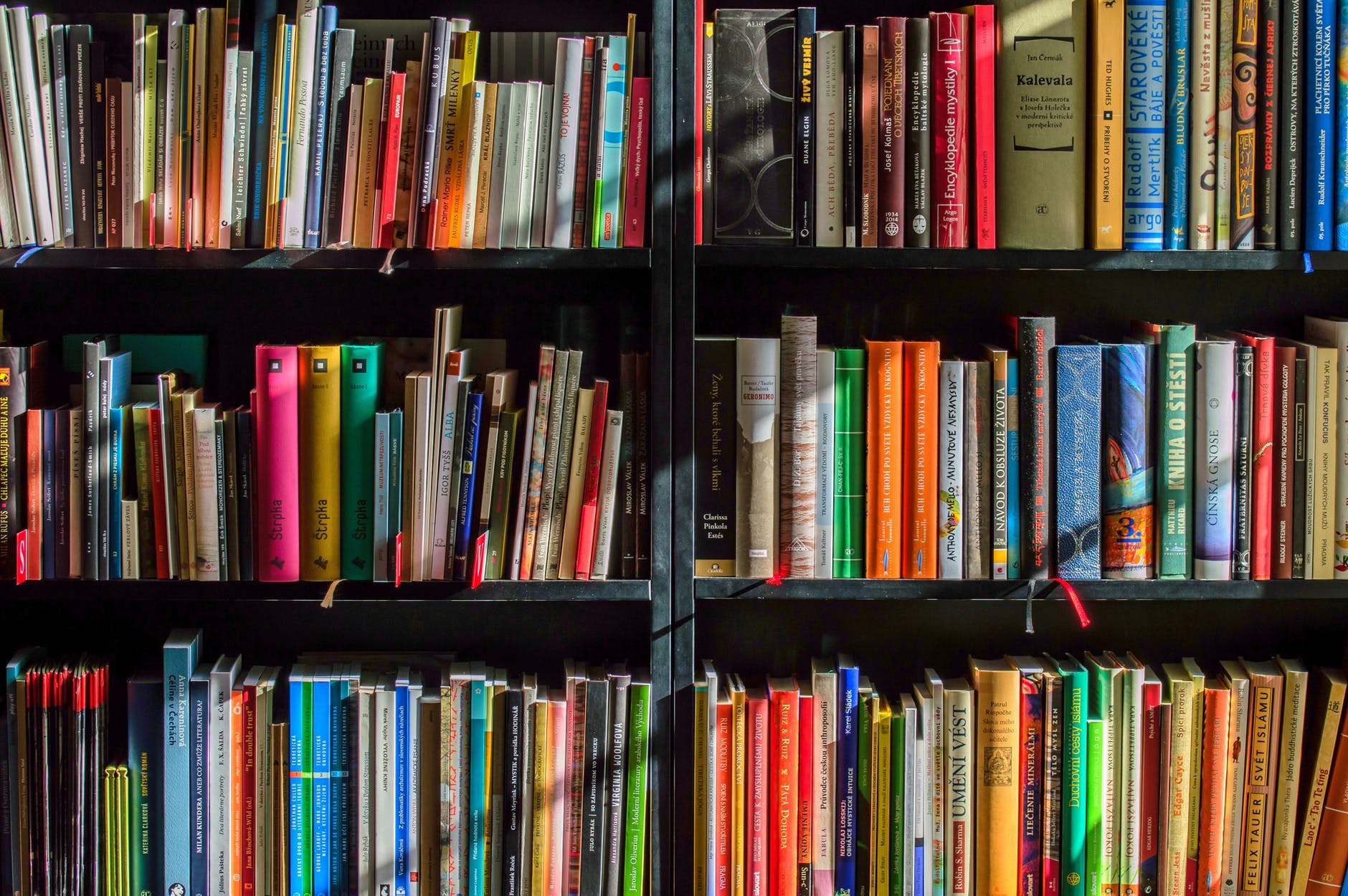 shelves filled with colorful books